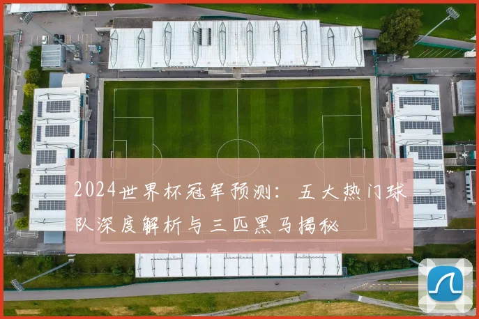 2024世界杯冠军预测：五大热门球队深度解析与三匹黑马揭秘